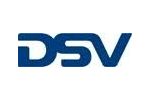 Sezon piłkarski w DSV